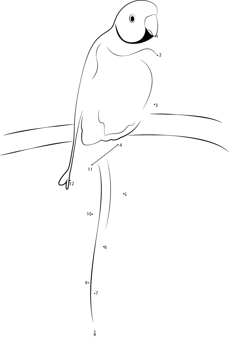 A Green Male Parrot printable dot to dot worksheet