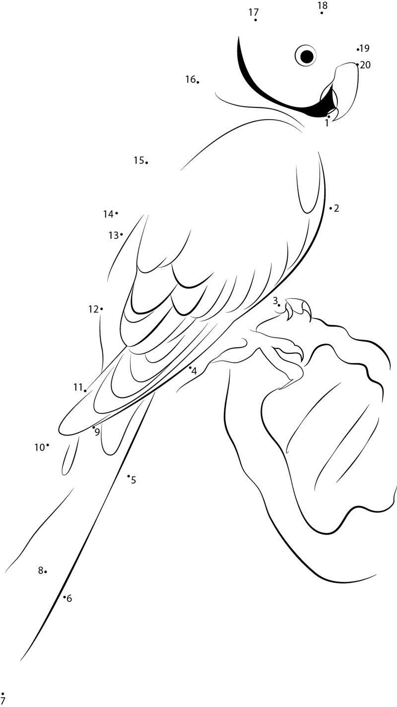 African Roseringed Parakeet dot to dot worksheets