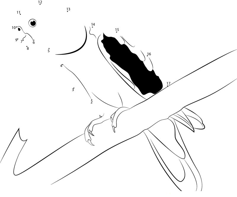 Aprosmictus Erythropterus dot to dot worksheets