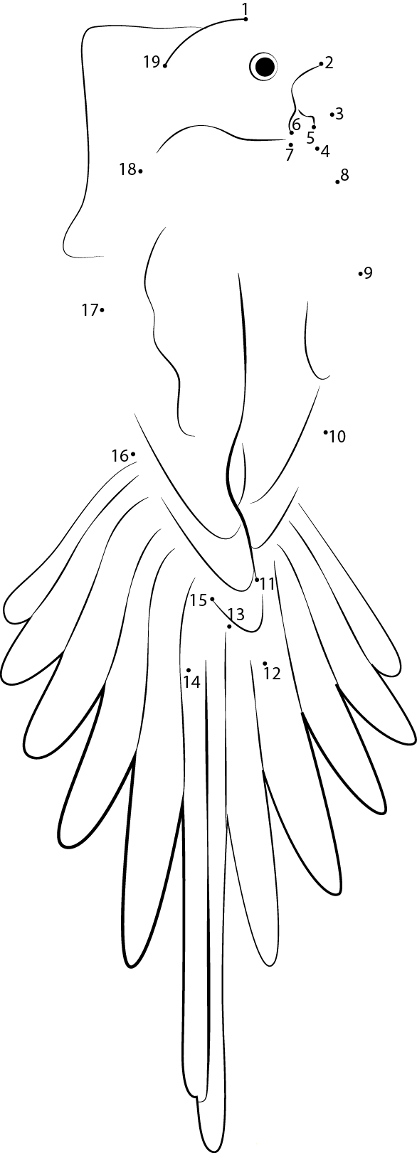 Beautiful Red Parrot printable dot to dot worksheet