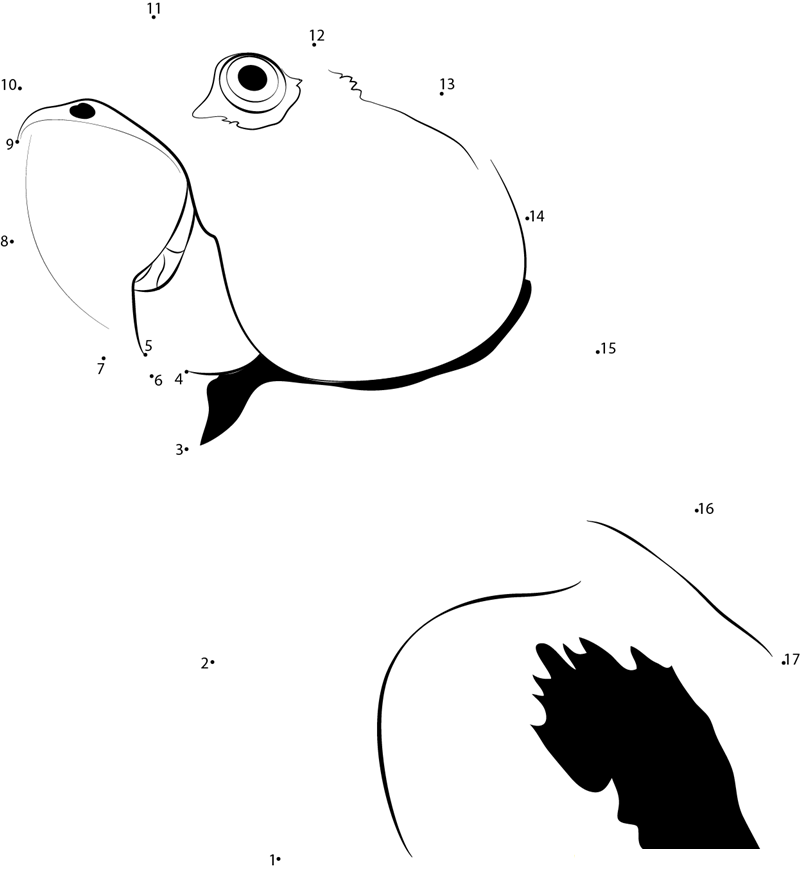 Cute Colourful Parrot printable dot to dot worksheet