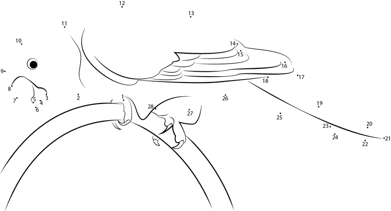 Female Eclectus Parrot dot to dot worksheets
