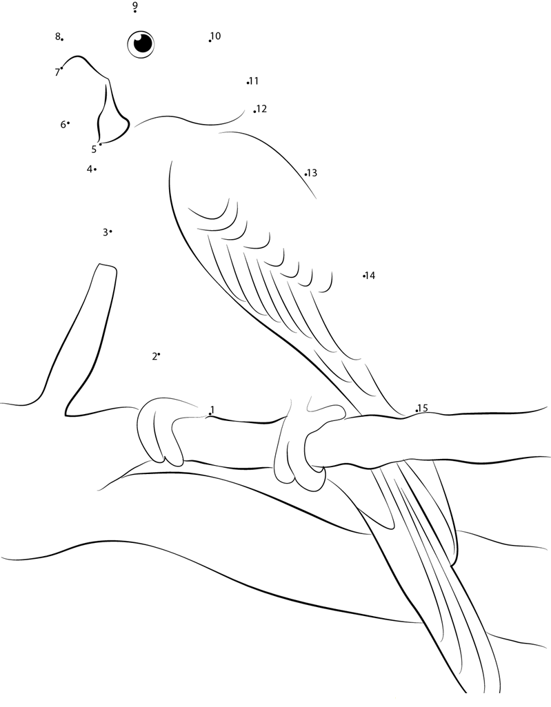 Green Parrot printable dot to dot worksheet