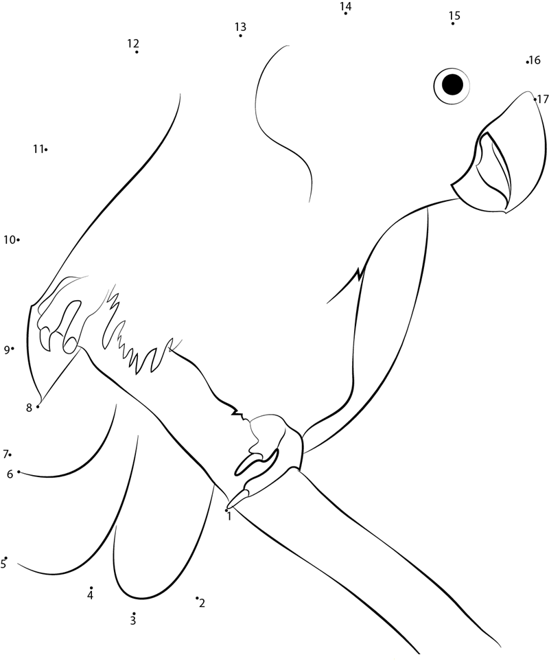 Indian Parrot printable dot to dot worksheet