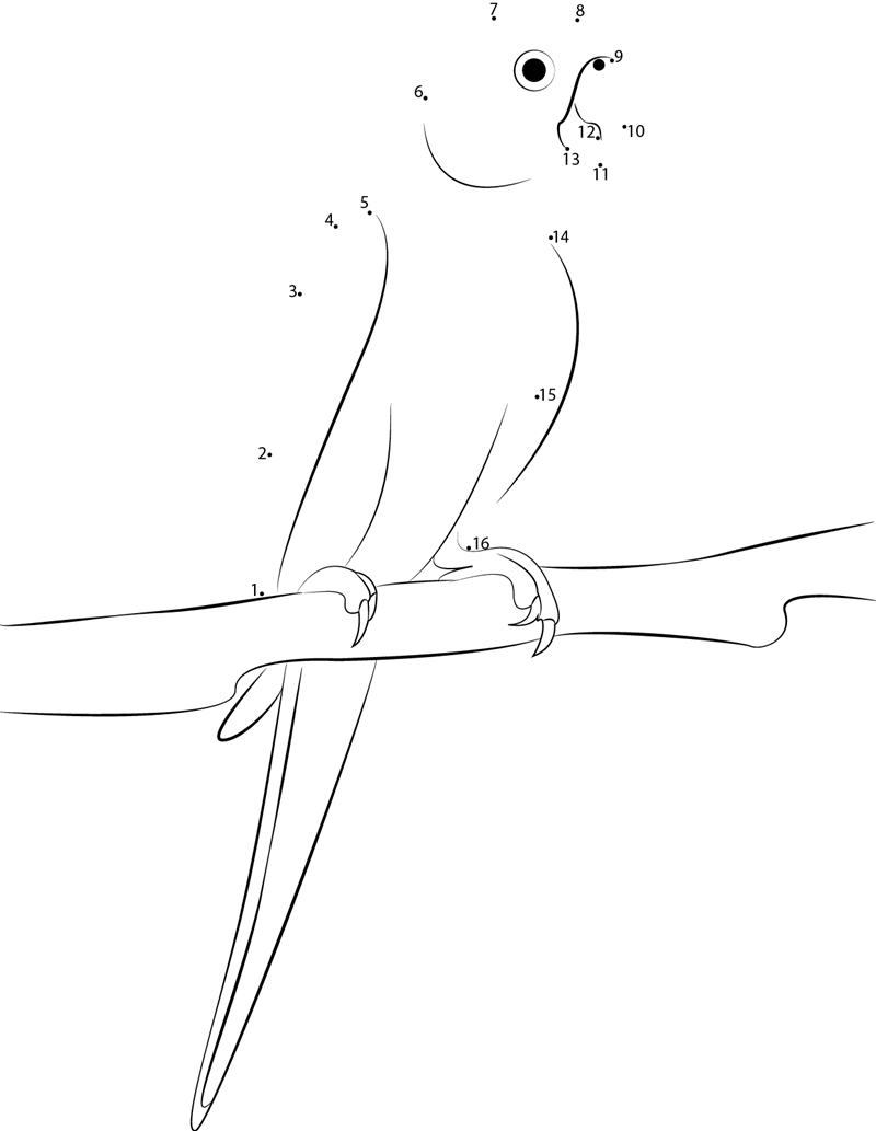 Indian Parrot Sitting On Tree dot to dot worksheets