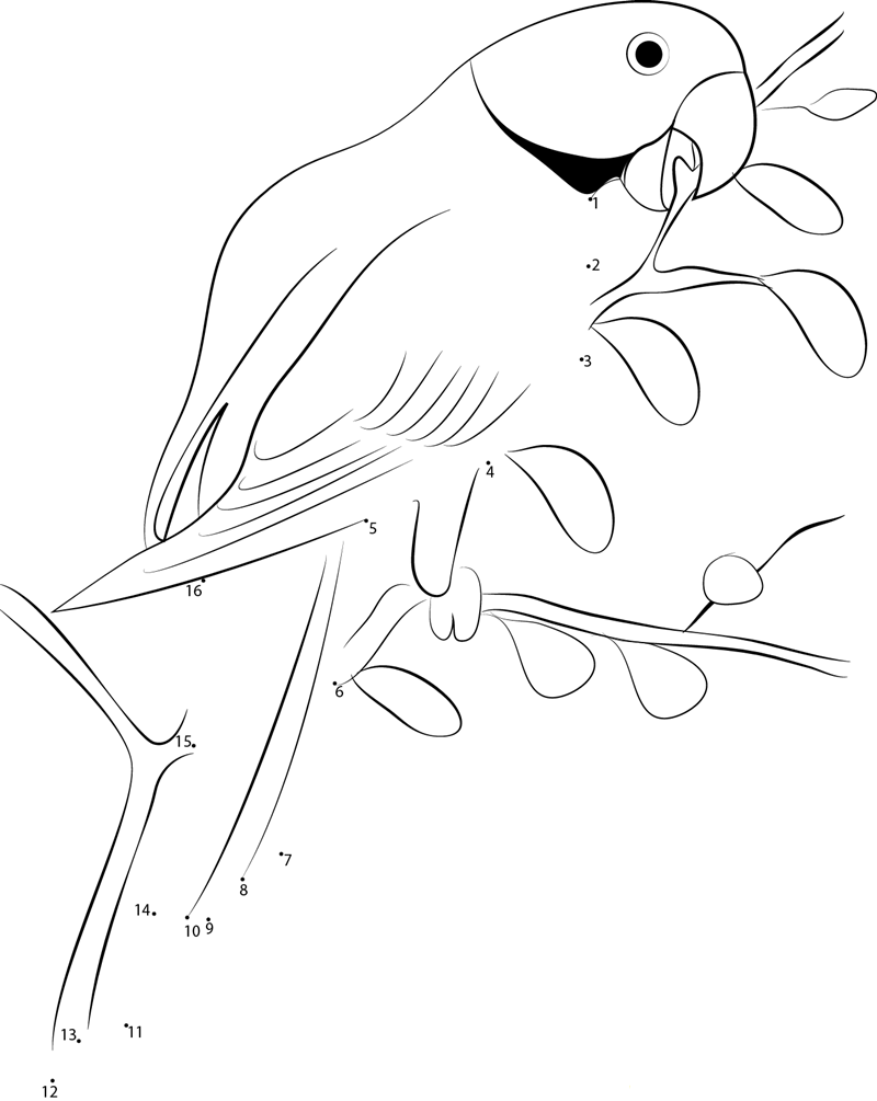 Indian Ring Neck Parrot printable dot to dot worksheet