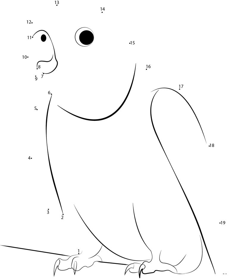 King Parrot Australia dot to dot worksheets