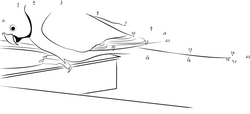 Parakeet printable dot to dot worksheet