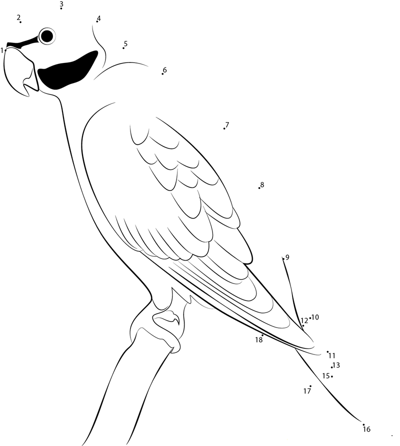 Parrot printable dot to dot worksheet