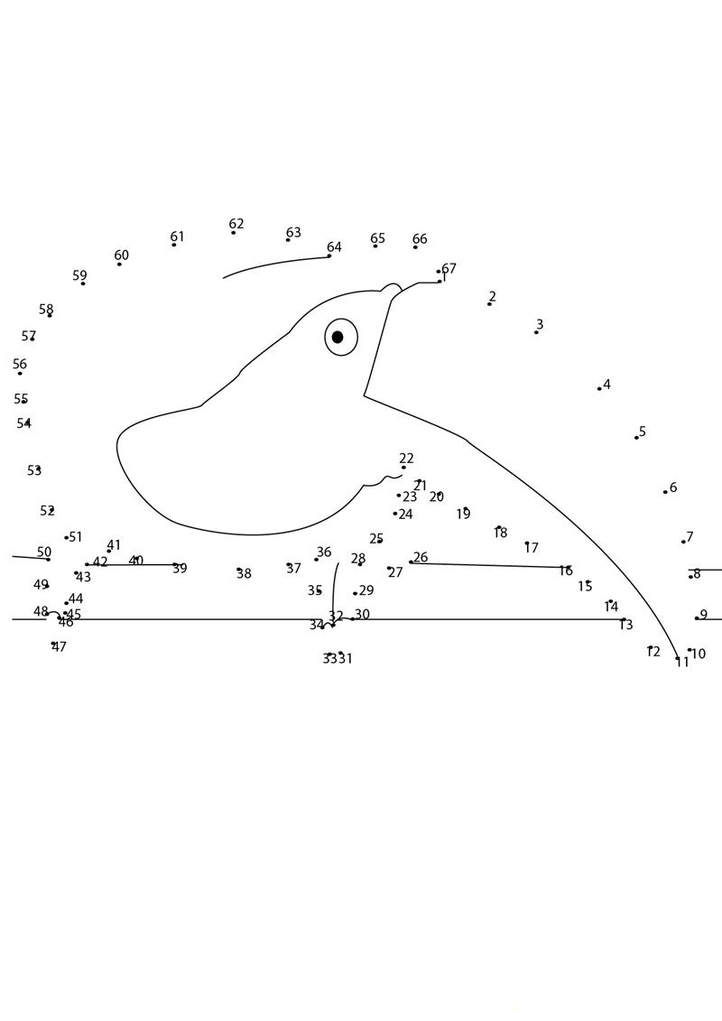 Parrot Closeup Face dot to dot worksheets