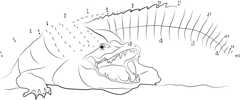 Adult Nile Crocodile dot to dot worksheets