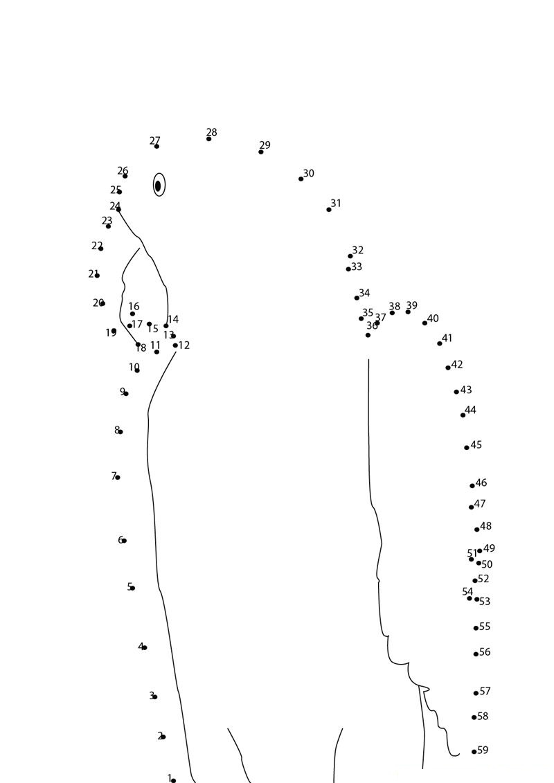 Parrot Sitting printable dot to dot worksheet