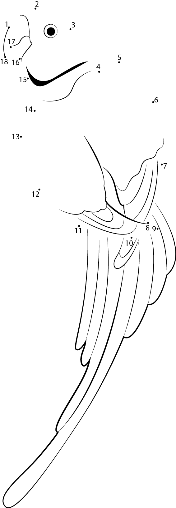 Psittaciformes printable dot to dot worksheet