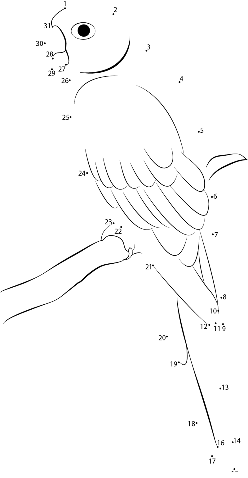 Psittacines printable dot to dot worksheet