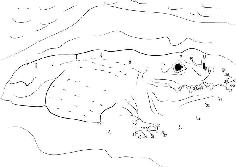 African Crocodile printable dot to dot worksheet