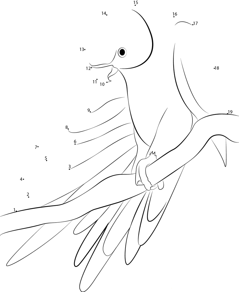 Ringneck Parakeet dot to dot worksheets