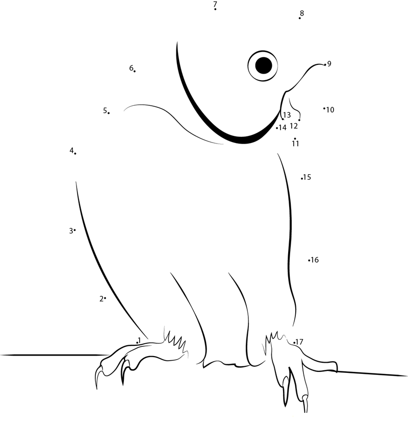 Talking Parrot printable dot to dot worksheet