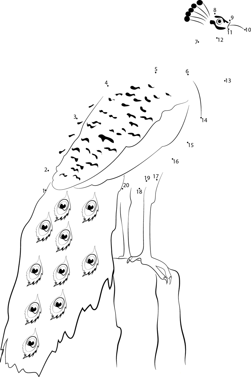 Indian Peacock dot to dot worksheets