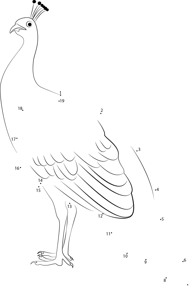 Peacock Female dot to dot worksheets