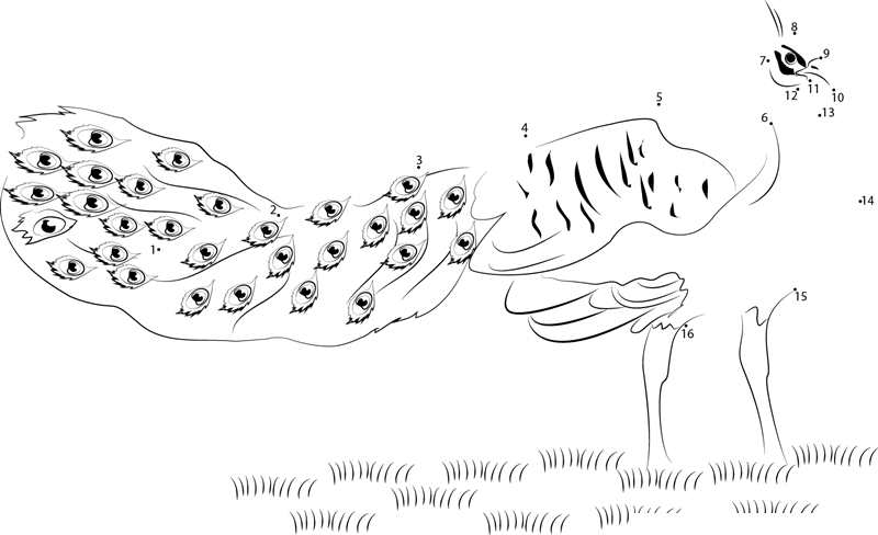 Peacock On Grassland printable dot to dot worksheet