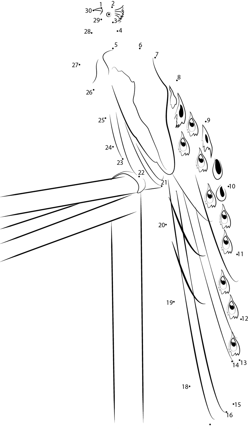 Peacock Sits On The Fence printable dot to dot worksheet