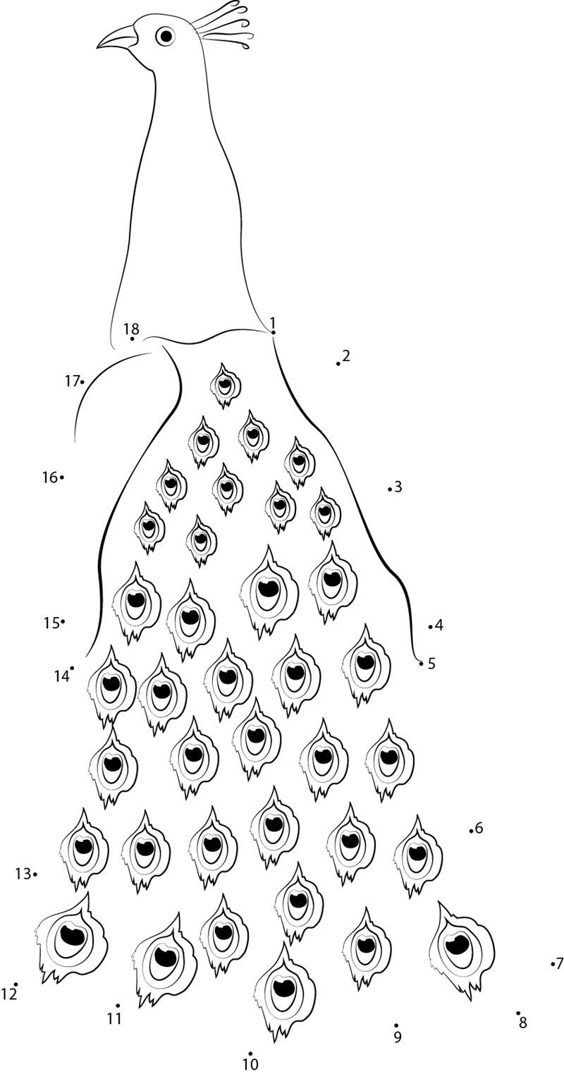 Strutting Male Peacock printable dot to dot worksheet