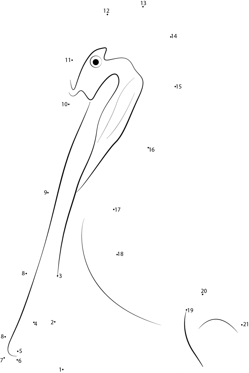 Brown Pelican Head dot to dot worksheets