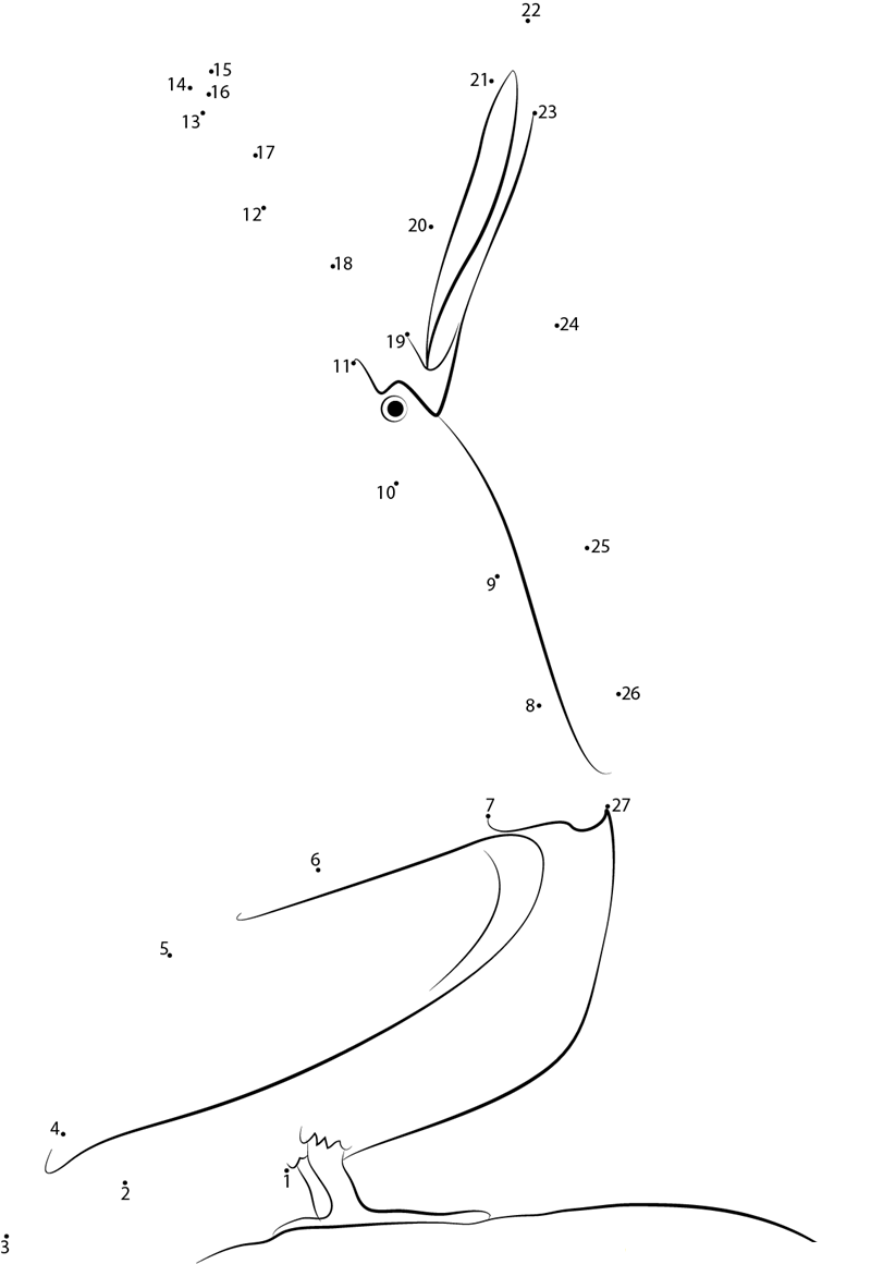 Brown Pelican Open Mouth dot to dot worksheets