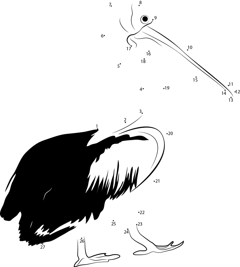 Pelican The Wonderful Bird printable dot to dot worksheet