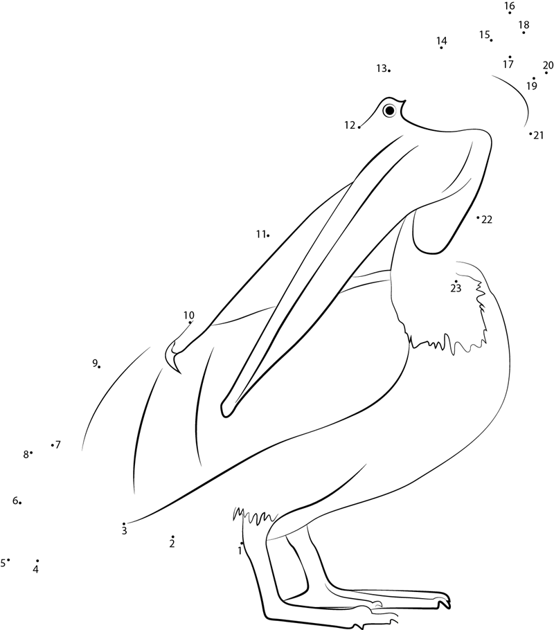 Pinkbacked Pelican printable dot to dot worksheet