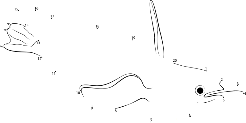 Australian Little Penguin Underwater dot to dot worksheets