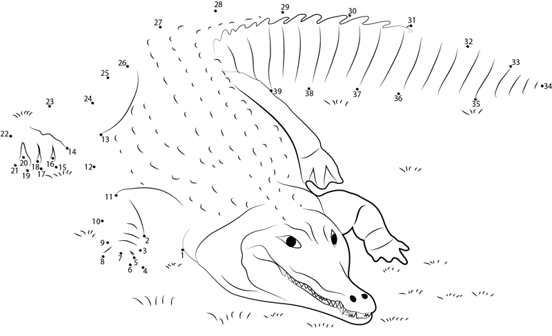 Crocodile Lying On The Grass printable dot to dot worksheet