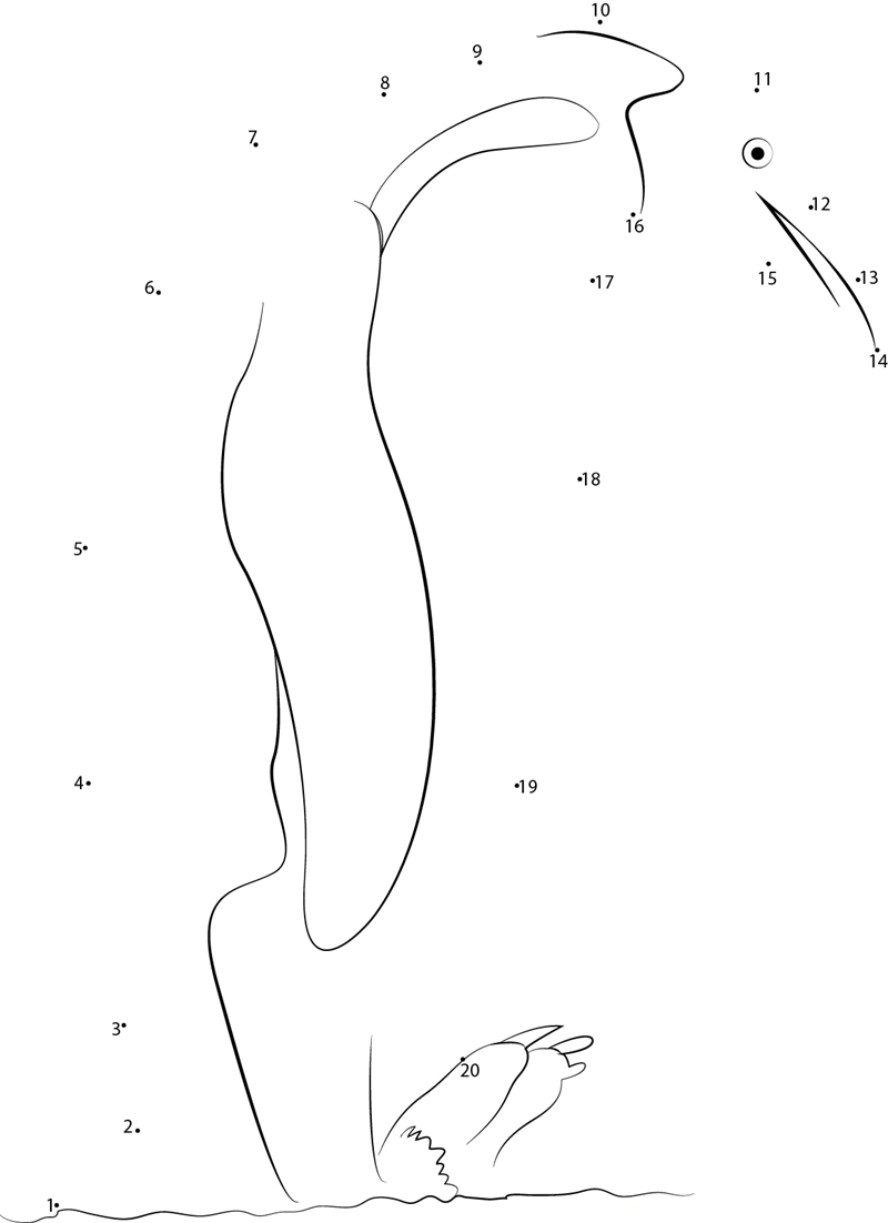 Emperor Penguins Walking printable dot to dot worksheet