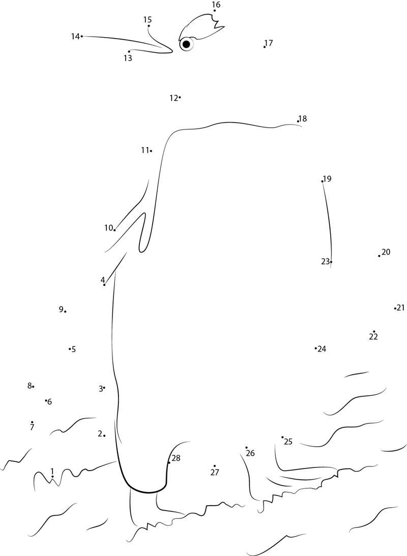 Gentoo Penguin dot to dot worksheets