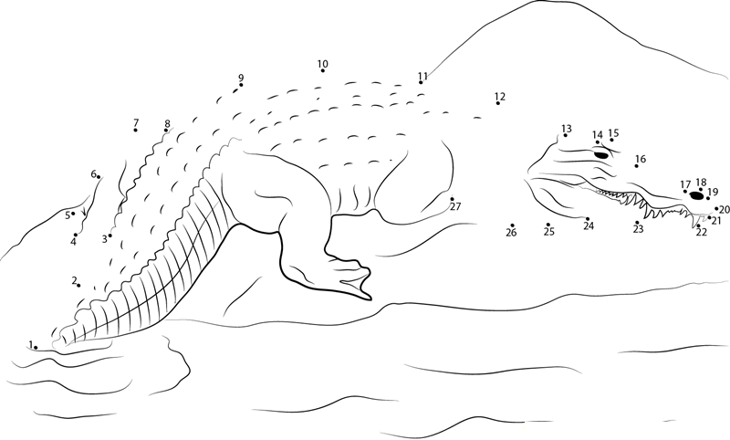 Crocodile On A Rock printable dot to dot worksheet