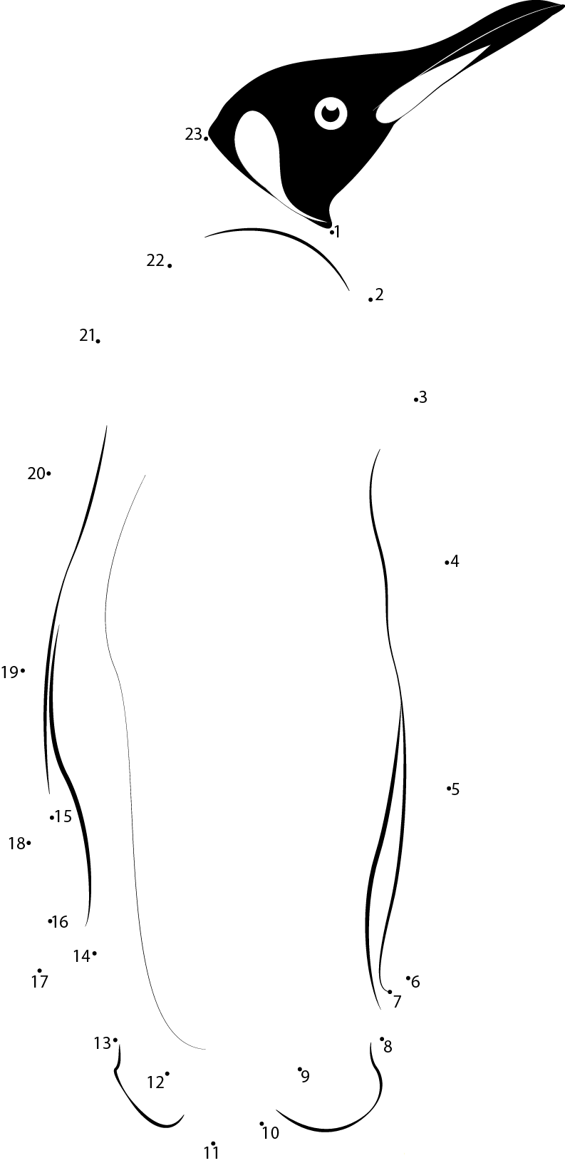 King Penguins In South Georgia dot to dot worksheets