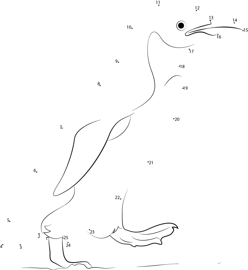 Little Penguin printable dot to dot worksheet