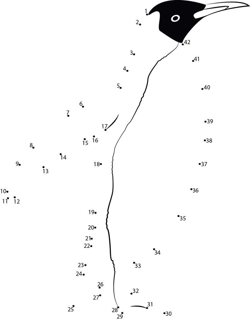 Lovely Penguin printable dot to dot worksheet