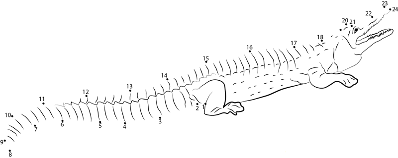 Crocodile Relaxing dot to dot worksheets