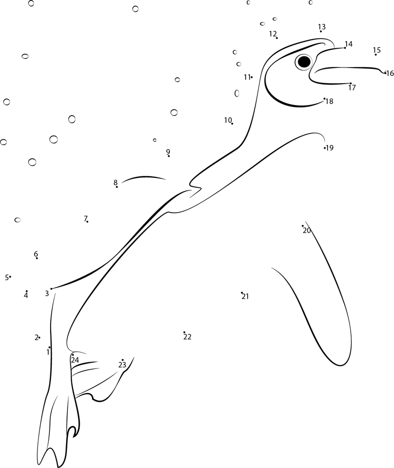 Penguin In Blue Water dot to dot worksheets