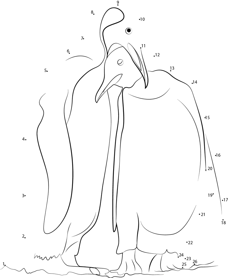 Penguin In Love dot to dot worksheets