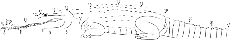 Fresh Water Crocodile dot to dot worksheets