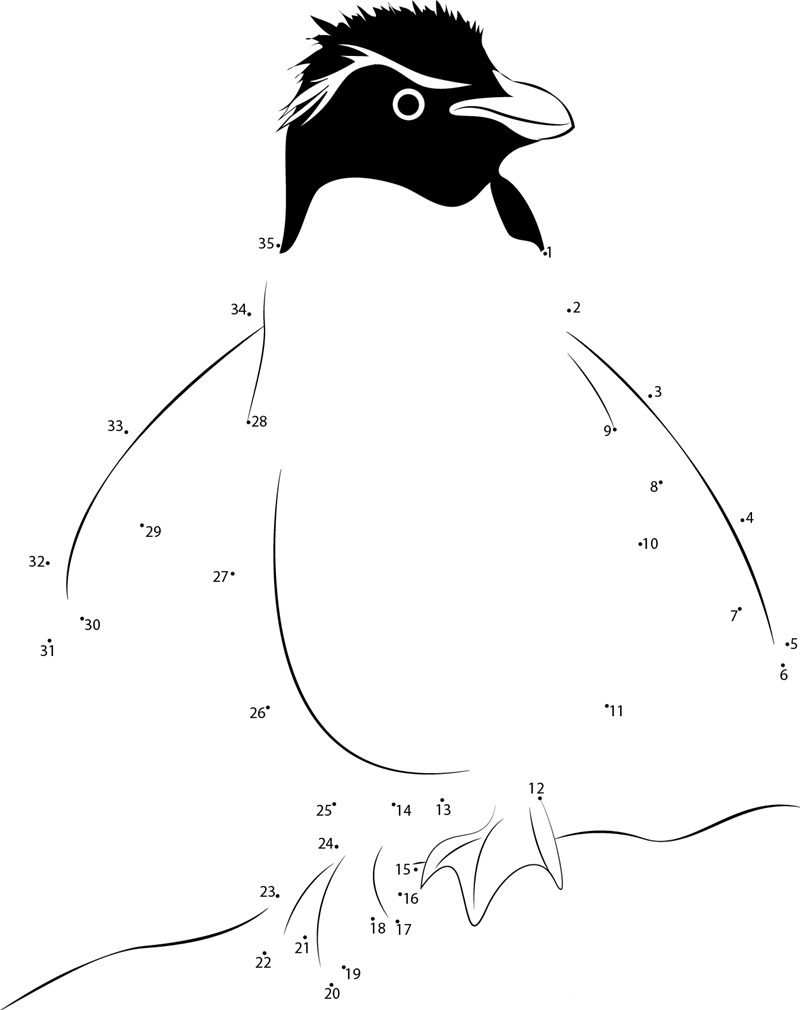 Rockhopper Penguin dot to dot worksheets