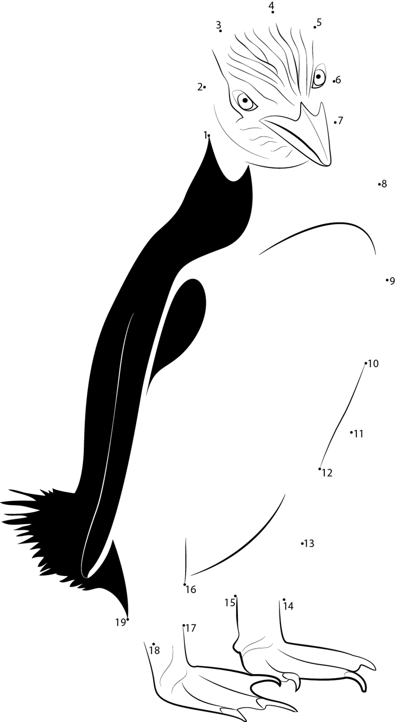 Yellow Eyed Penguins printable dot to dot worksheet