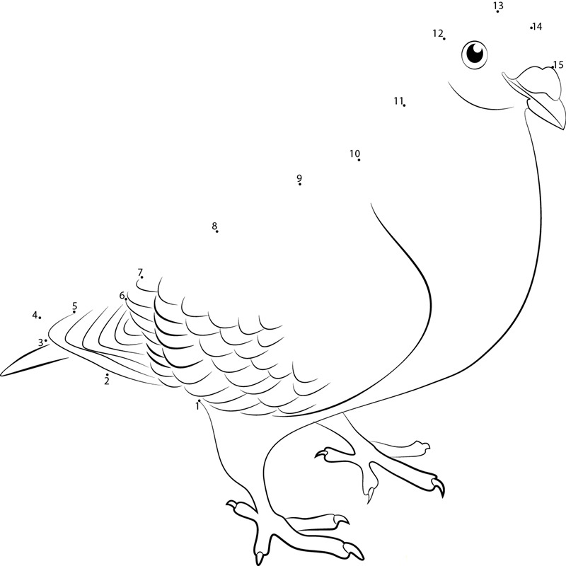 British Show Racer Pigeon dot to dot worksheets