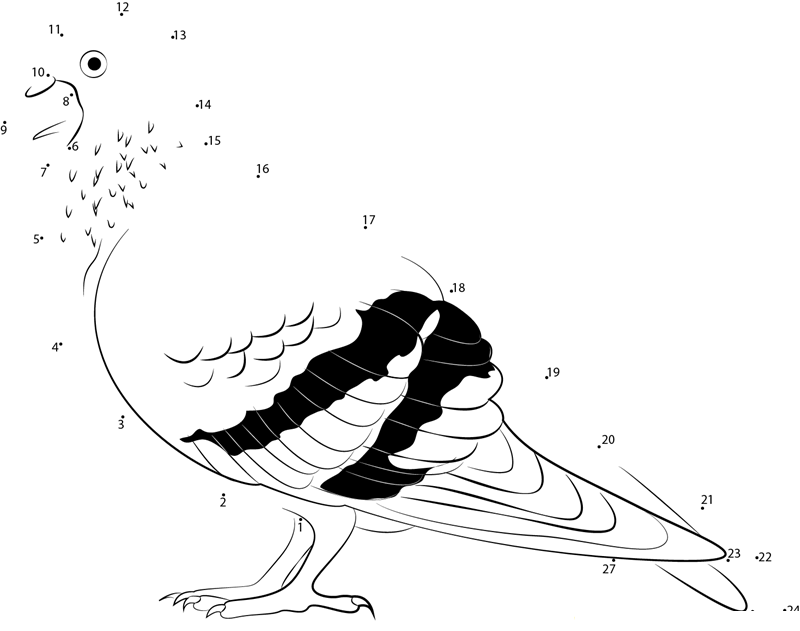 Columbidae printable dot to dot worksheet