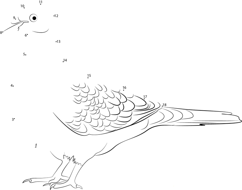 Doves dot to dot worksheets