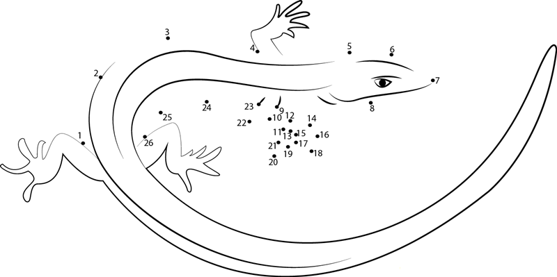 Baby Alligator dot to dot worksheets