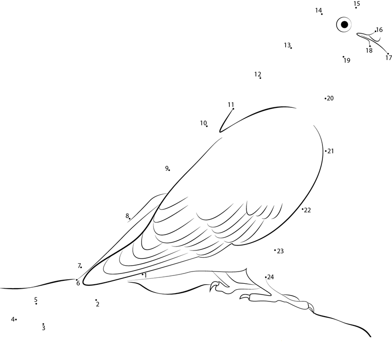 Fancy Pigeons printable dot to dot worksheet