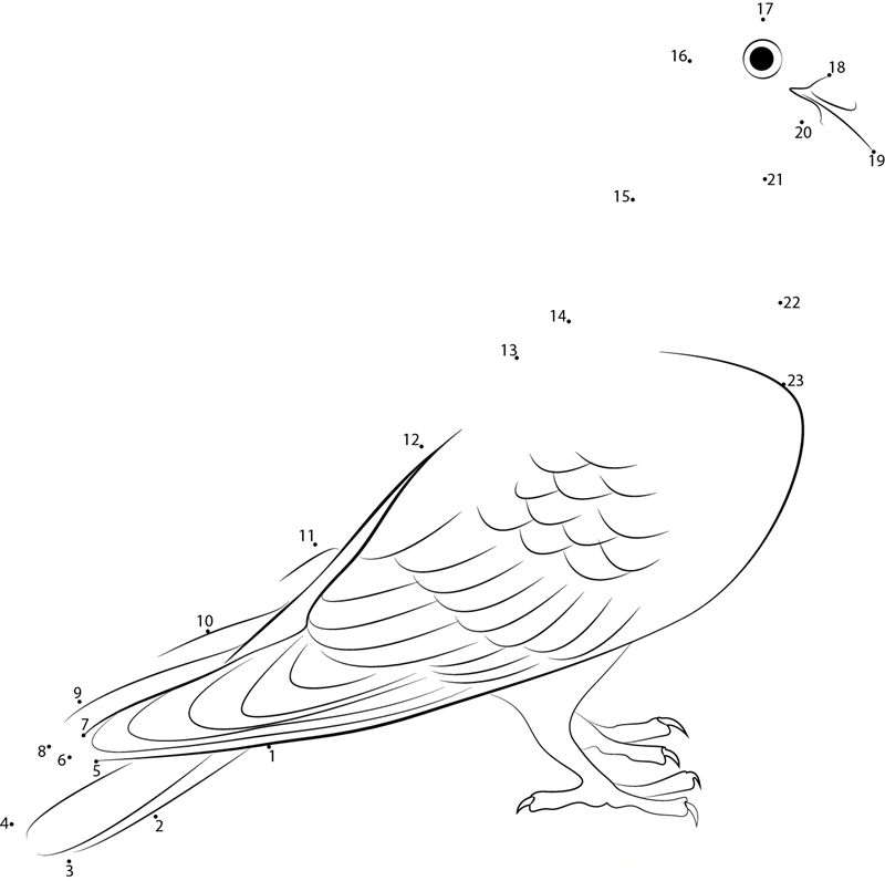 Nuremberg Lark Pigeon In South Germany dot to dot worksheets